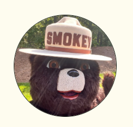 prevent fires